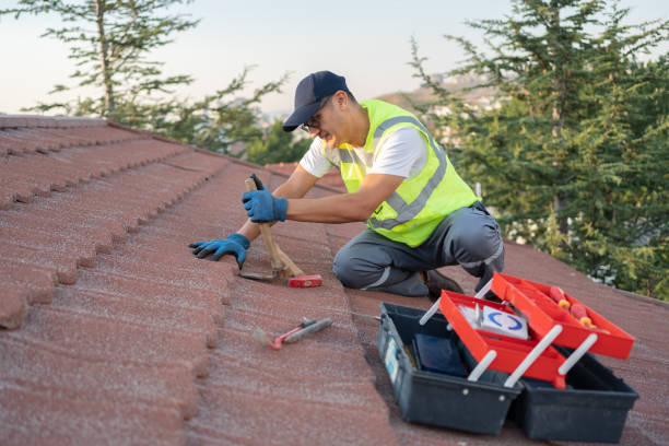 Roof Installation Near Me in Avenue B And C, AZ